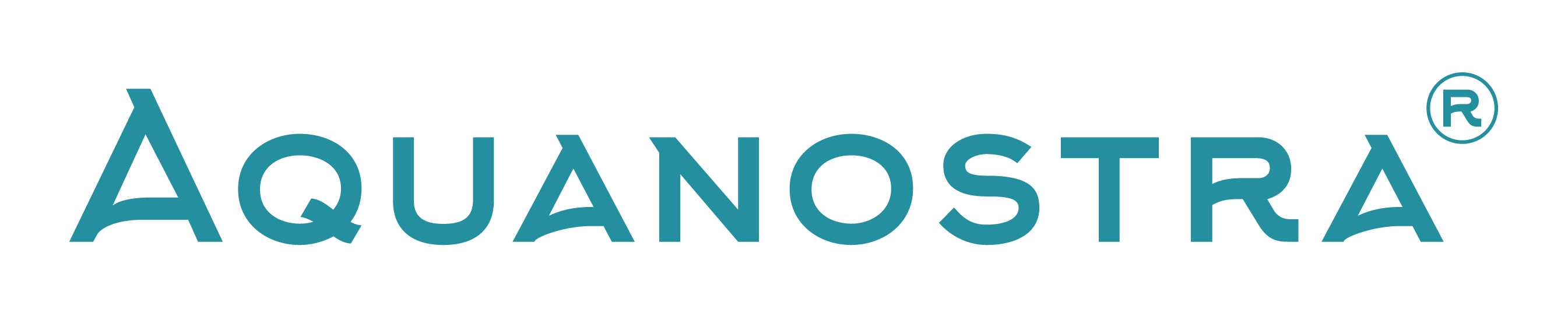 Media Partners