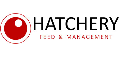 Media Partners